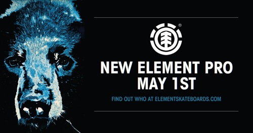劳动节——Element新Pro