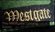 Emerica发布Brandon Westgate首款签名滑板鞋