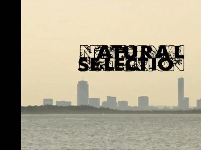 Dave Bachinsky 和 Dan Murphy 在《Natural Selection》片段