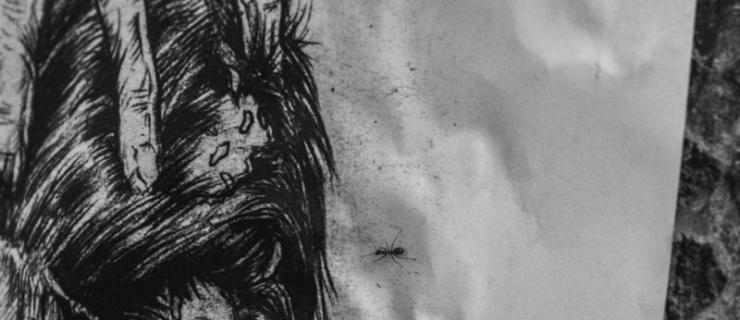 【NewYe周三】-Black Knight超薄的光纤Recycle（再生）！