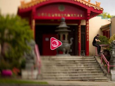 谢幕：David Gravette