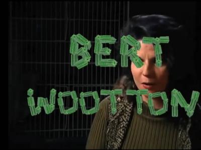 SKATERATS整片《RAT POISON》-BERT WOOTTON个人片段