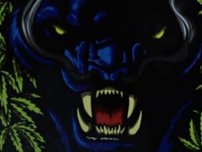 Santa Cruz滑手Shuriken新款板面“丛林黑豹”Weed Panther P2发布