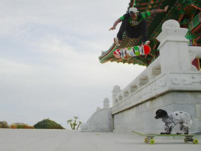 RED-“REDIRECT”影片第八部-Beagle