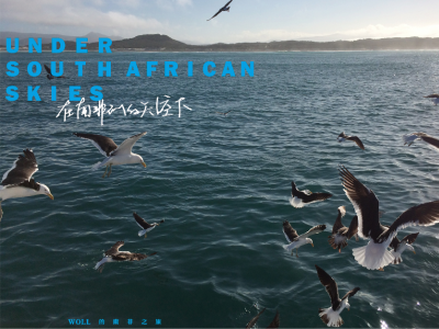 【独家视频】在南非洲的天空下三部曲完整连载