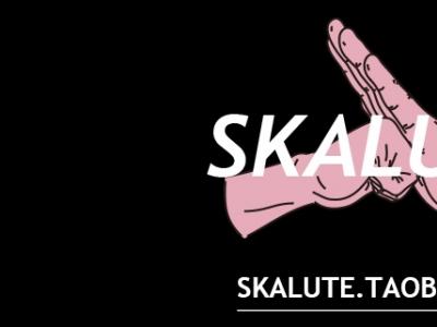本土滑板品牌SKALUTE这厢有礼了，【抱拳】北京TOUR视频发片