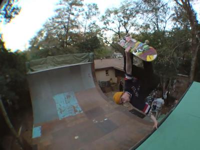 眼镜白鲨Ben Raybourn-佛罗里达州后院的大U池