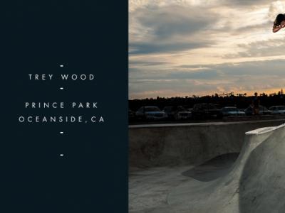 Berrics 2017「In Transition」系列碗池赛事-Trey Wood