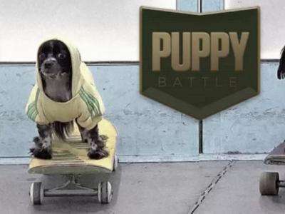 BATB X最强平地大战：最新一轮小狗对决