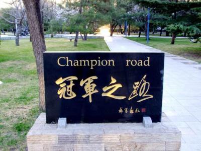 不拘一格 跨界选材——中国体育报专访北京体育大学曹卫东 