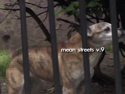 Mean Streets第九期：真实的纽约街头