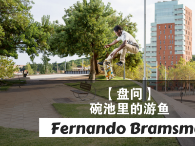 【盘问】碗池里的游鱼——Fernando Bramsmark