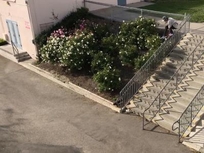 这才真正的杀大野，人人都是跳楼哥！