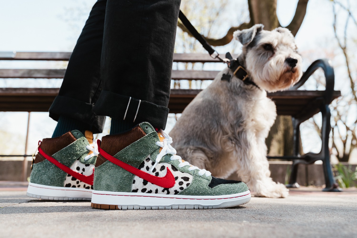 nike sb dog walker dunk
