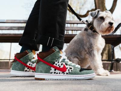 你要有踩狗屎的运气，才能买到这双NikeSB DunkHigh 「Dog Walker」